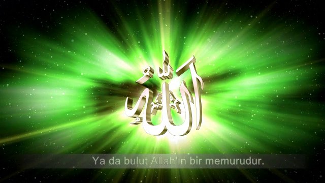 11- Yardımlaşma delili (Yaratılış Delilleri)