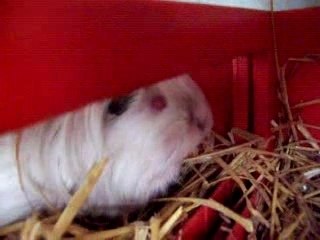 Bébés d'Alaska nés le 24 décembre