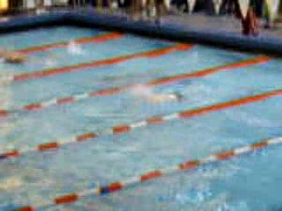 50 Butterfly