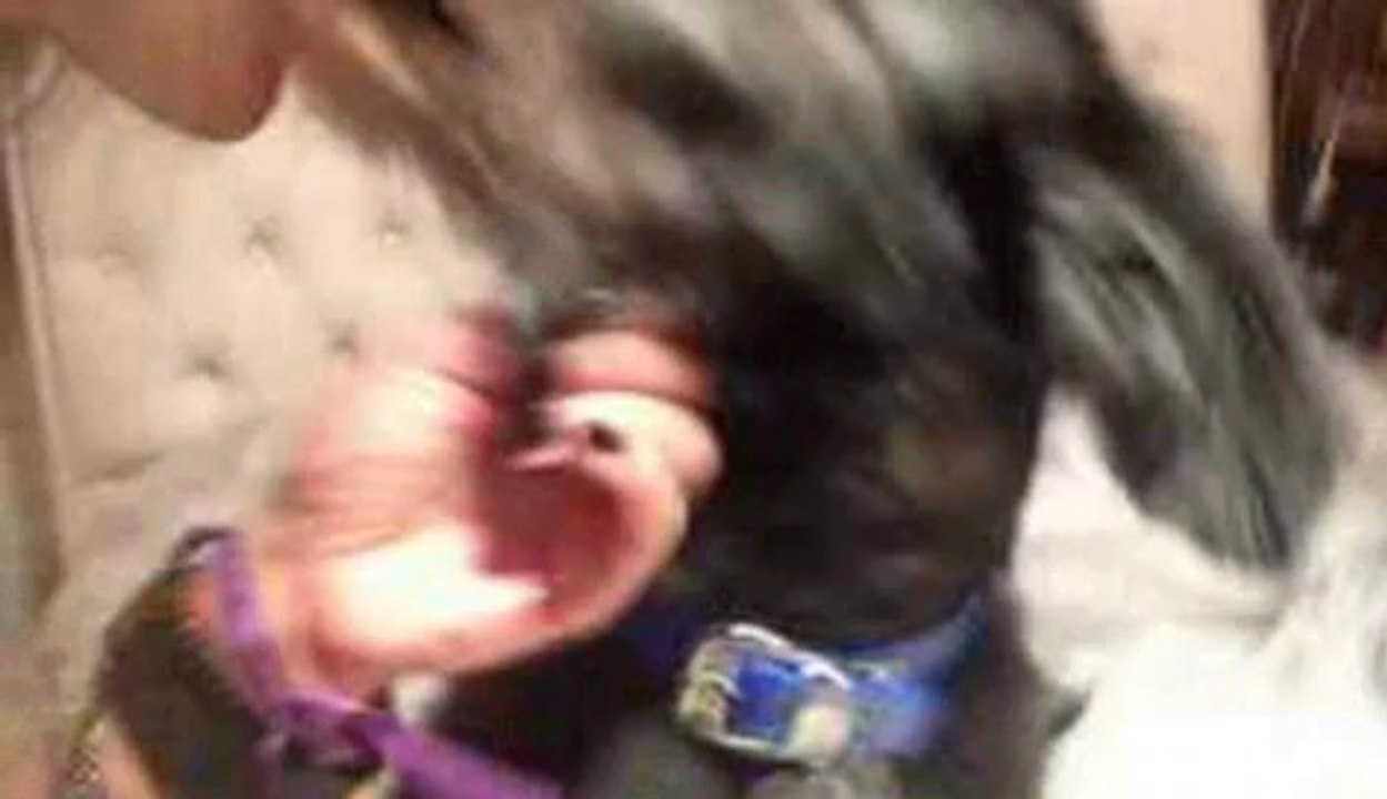 Twitcam Vanessa parte 2 05/04/2013