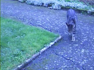 Jaudy cherche"le bâton"pour se faire battre