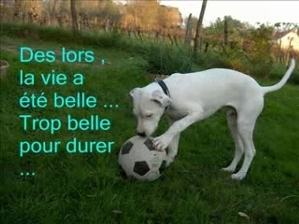 Néo histoire