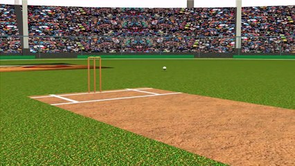 Ball motion Deep Fine Leg Boundary