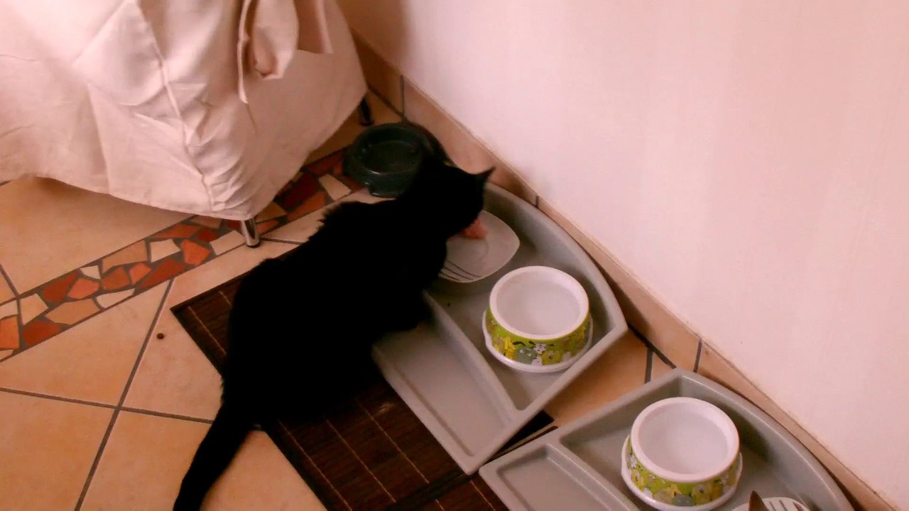 02042014 Frühstück