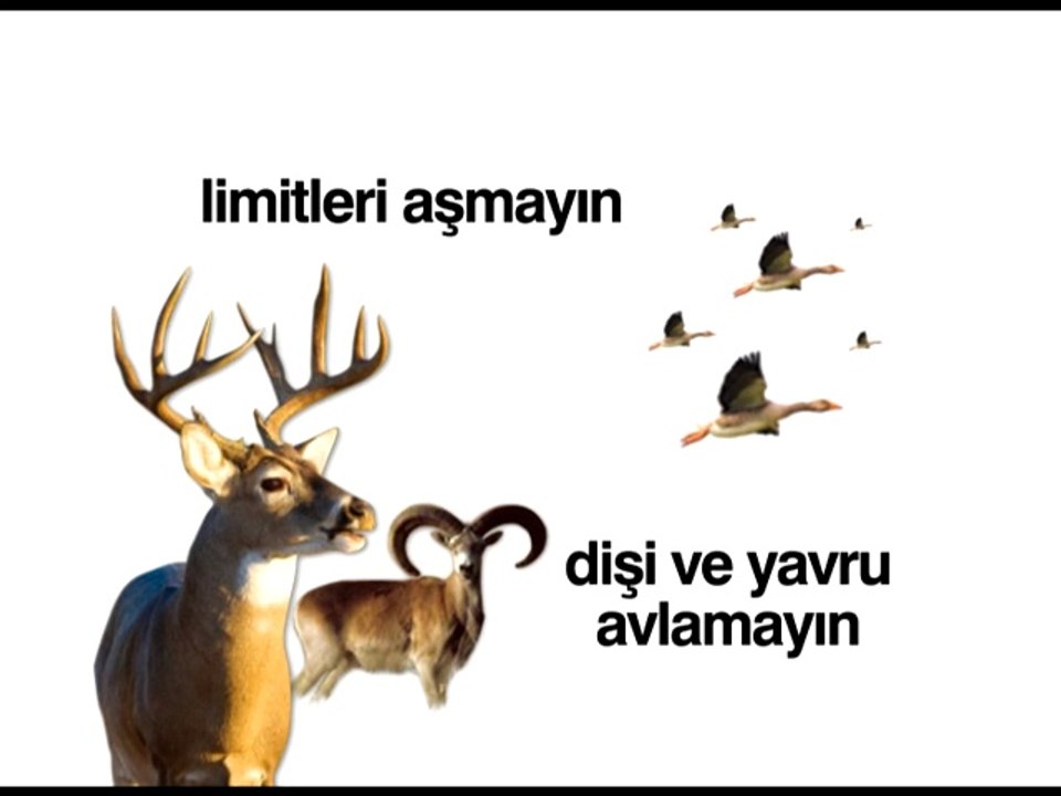 Kara Avcılığı Kanununa, avcılığın etik ve evrensel ilkelerine UYUN! DKMP_Avcılık Kısa Film02