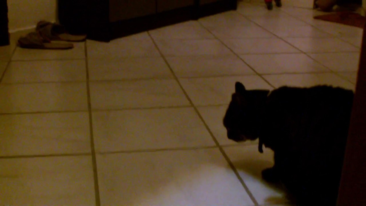 Curry und Pepper Zusammenführung 251112 (4)