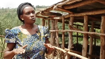 20 Years After the Rwandan Genocide | Journal Reporters