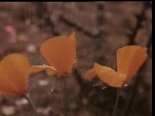 Guide - Gata Rahe Mera Dil