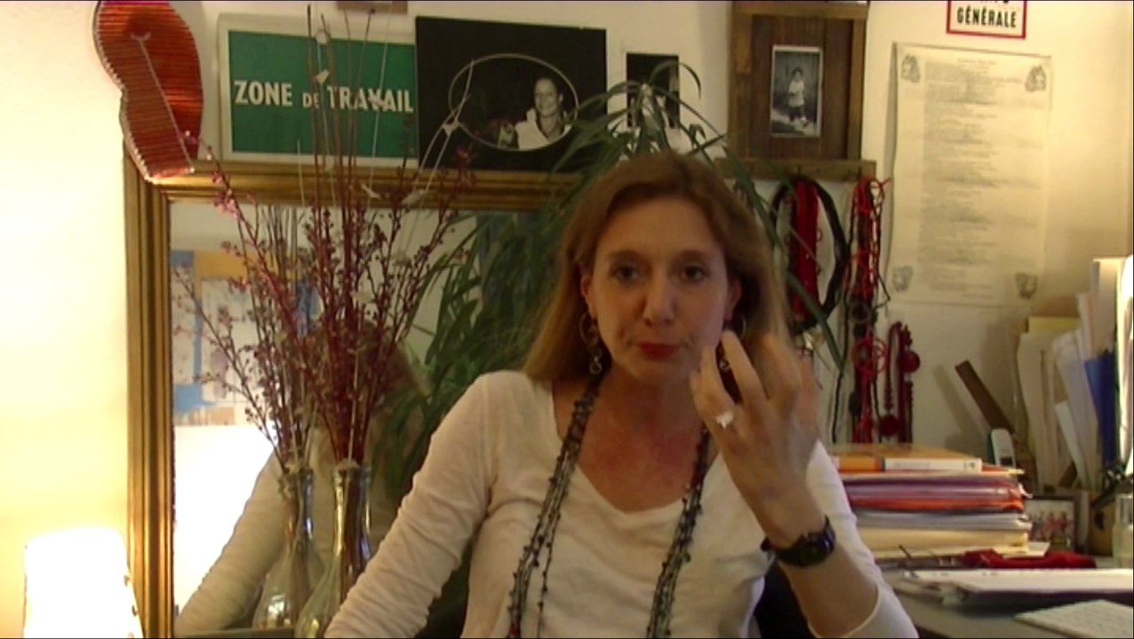 Laurence de Cock, Les enjeux de l'histoire scolaire.