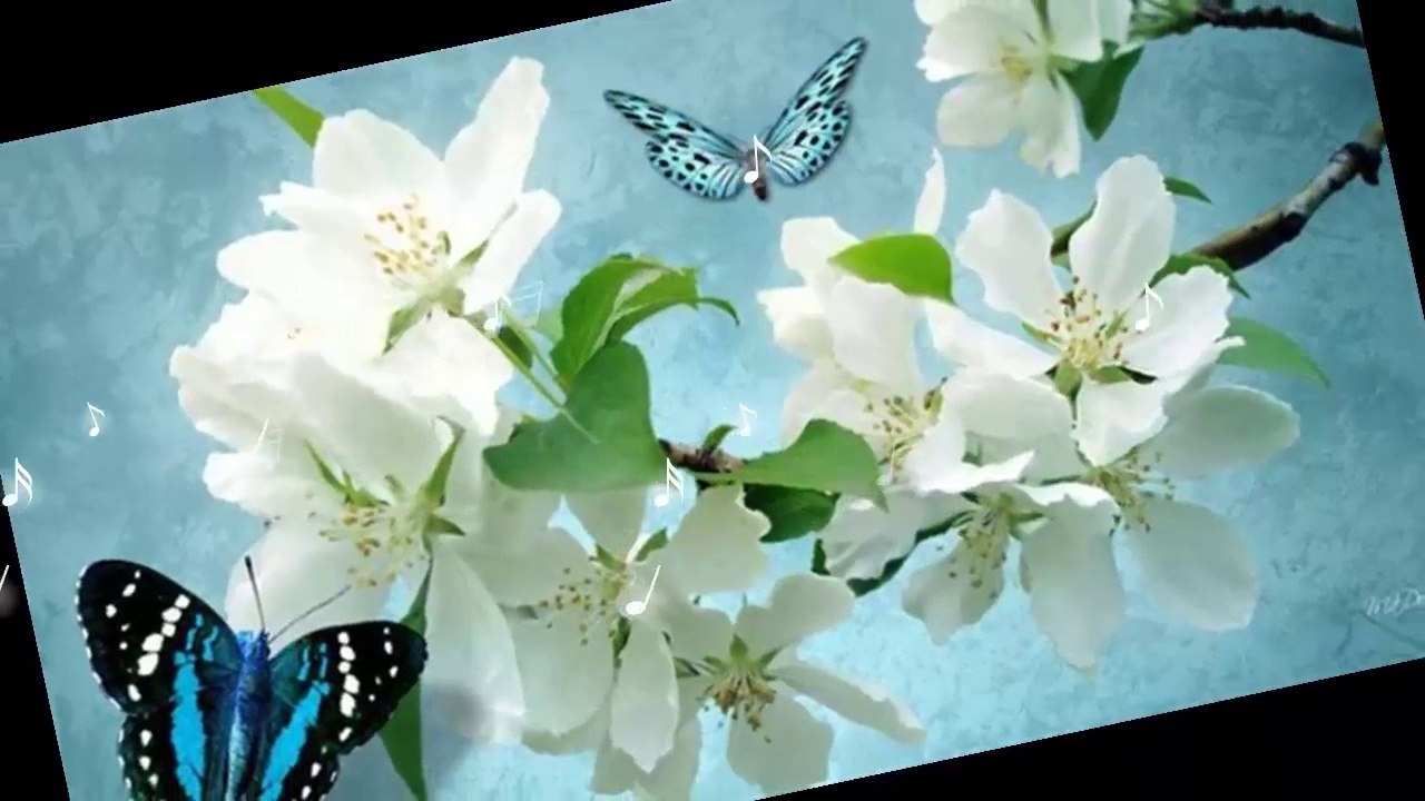 The color of innocence - white.. ...(music Giovanni Marradi)... ...