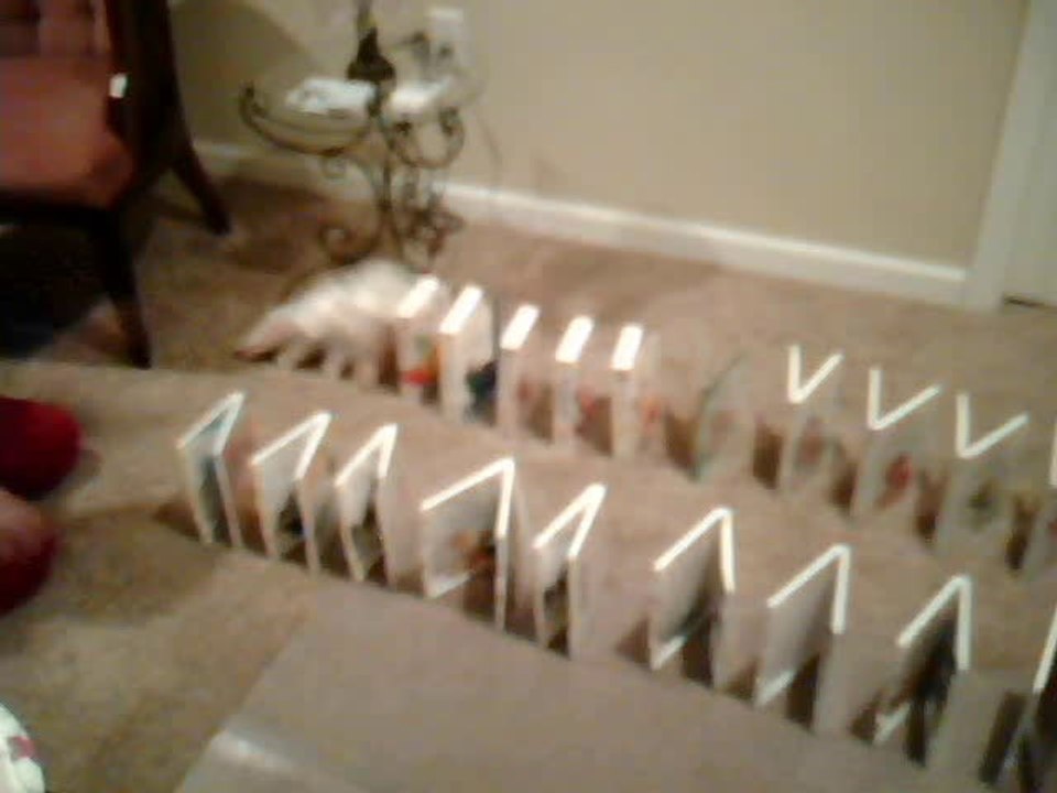 VHS & DVD Dominoes