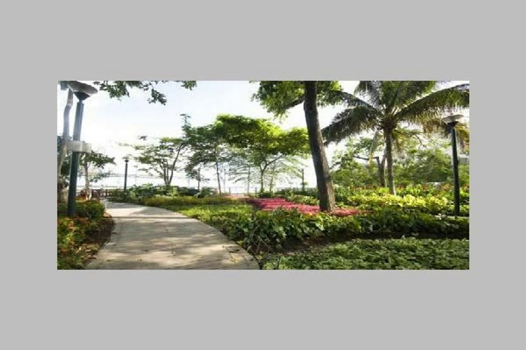 Mivida New Cairo Twinhouse for Sale Overlooking Lush of greenary Spaces