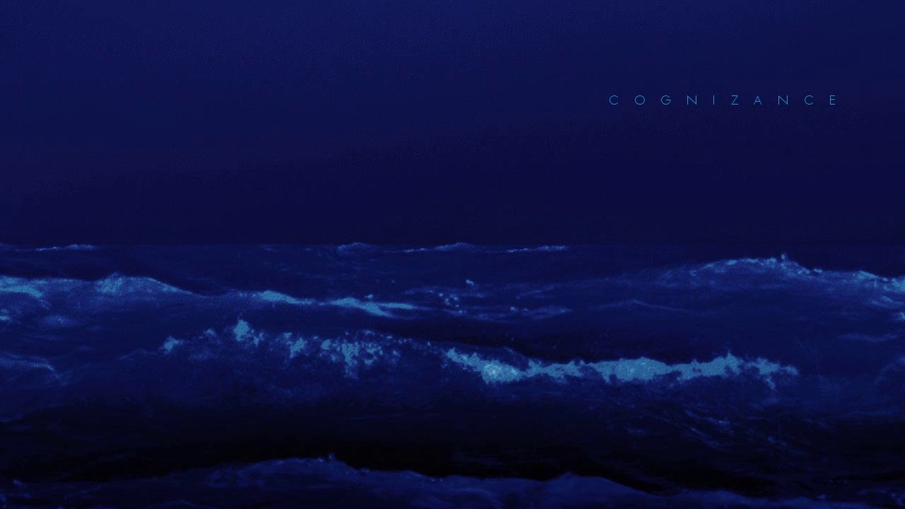 Cognizance