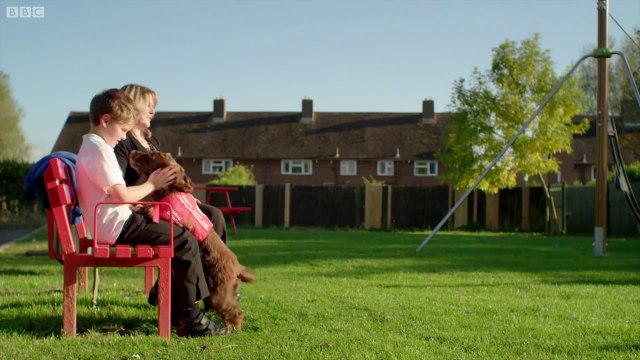 Dog Saves Owner’s Life By Smelling Her Cancer