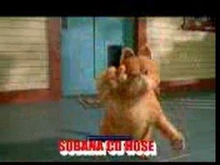 DANSE OF CAT ON TAMIL SONG