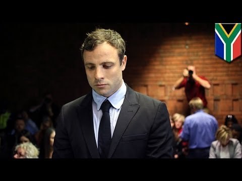 Oscar Pistorius trial: Witness heard 'blood curdling screams', then gunshots