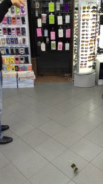 Takı Dükkanı Aynalı Cam Güneş Gözlüğü Dayanıklılık Testi