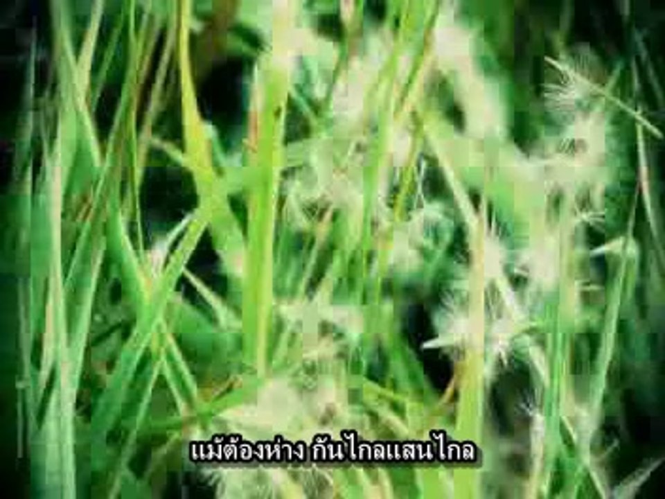 ใกล้ไกล ใจเดียวกัน - ผุสชา โทณะวณิก
