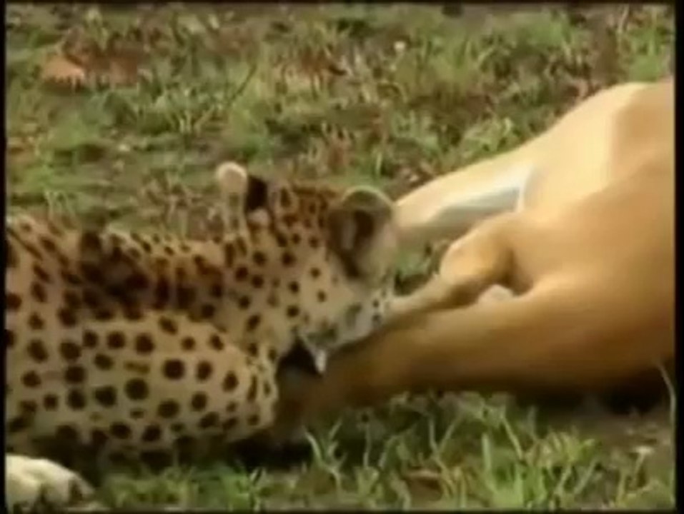 لن تصدق ما ستراه!! سبحــان الله العظيم وبحمده