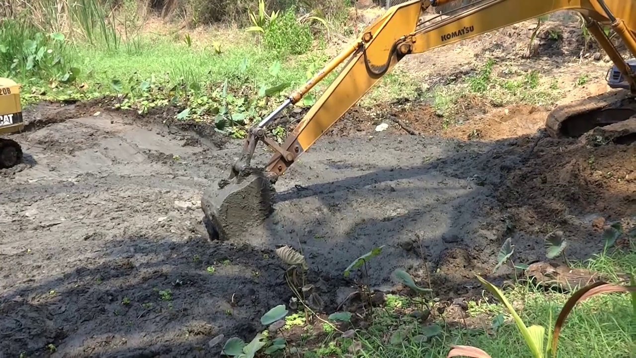 Curetage d'un étang et pêche à la rétro.....
