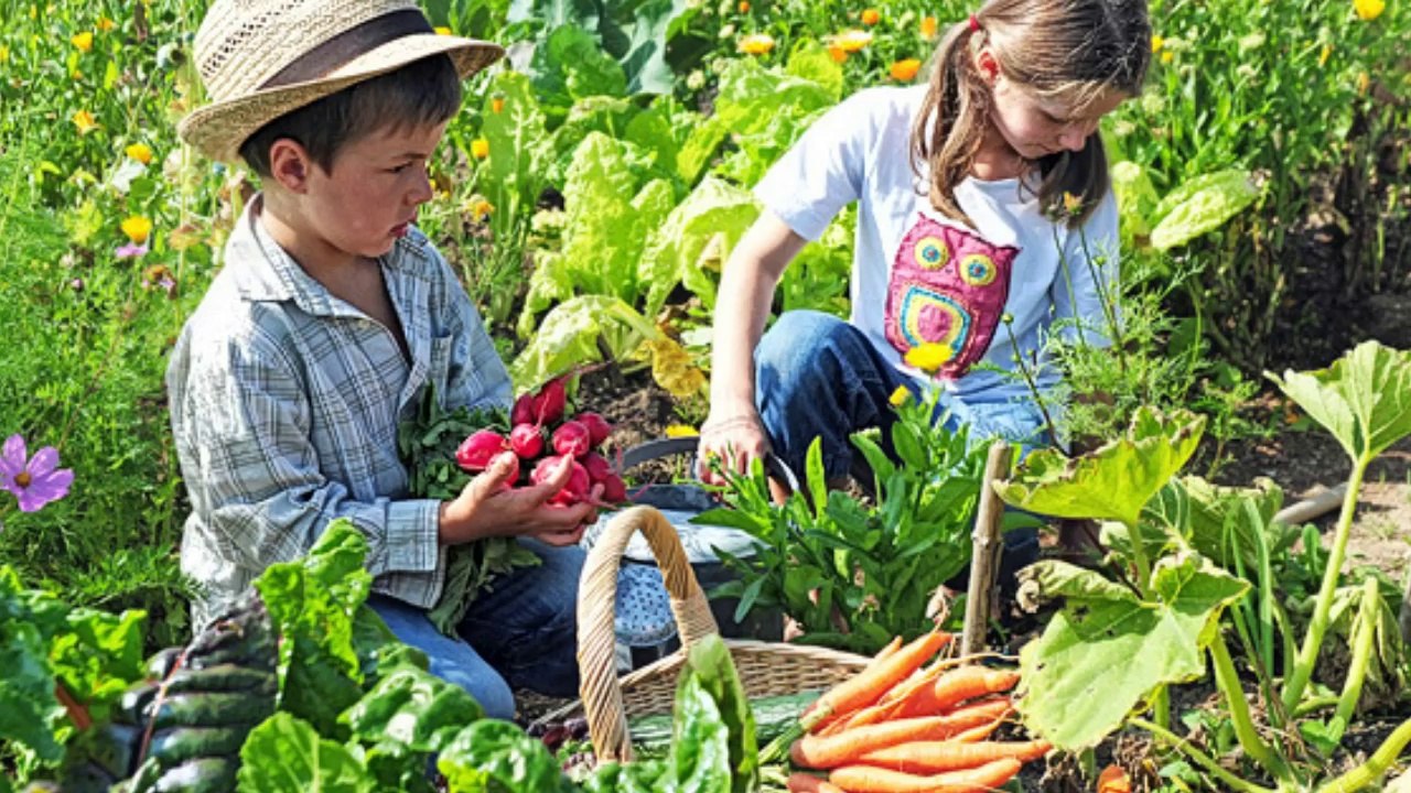 Flor palida -Marc Anthony