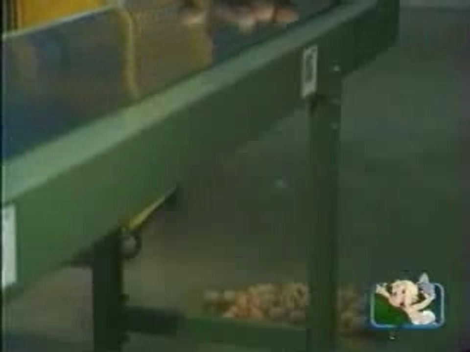 Les petites canailles - les oeufs