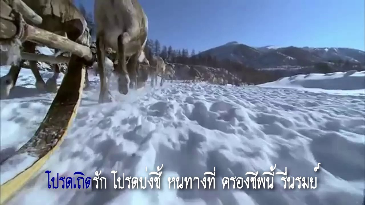 หนทางสู่รัก - แจ้ ดนุพล แก้วกาญจน์ คาราโอเกะ