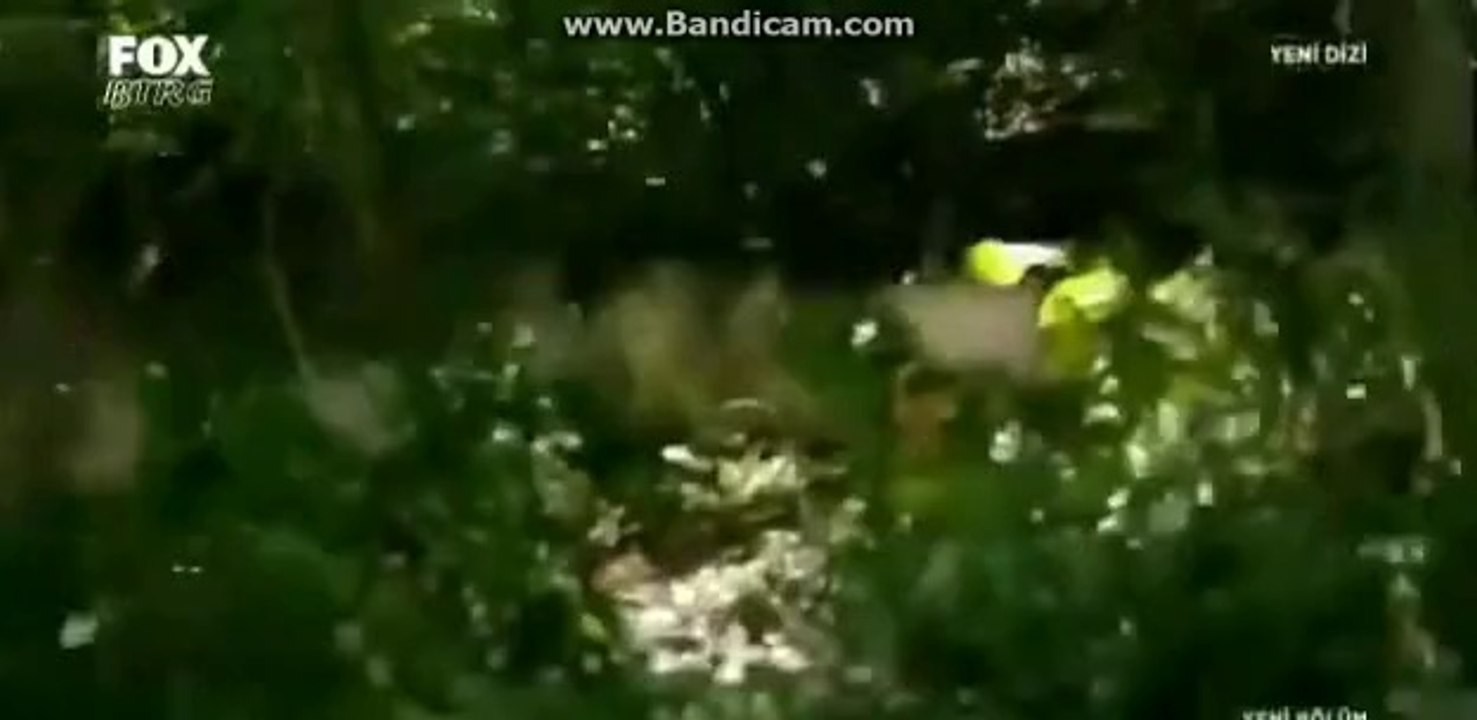 Meltem'in Gücü(Hızlı Koşma)