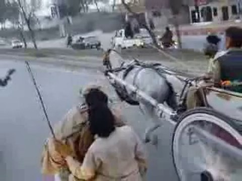 rawalpindi horse race zahid rafiq tanga maker rawalpindi