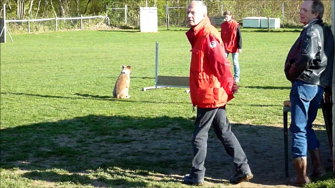 Happy-Girl Dlmde Brevet d'obé 05/04/2014