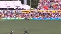 Top 10 Best Catches In Cricket History [480p] 2