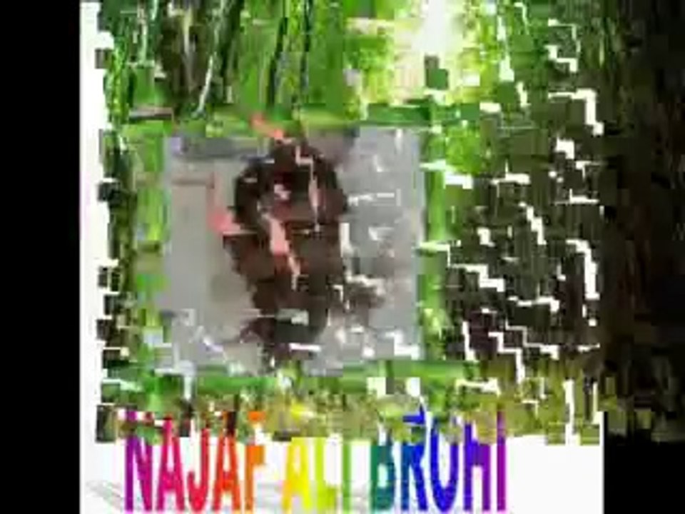 kashif shafi brohi