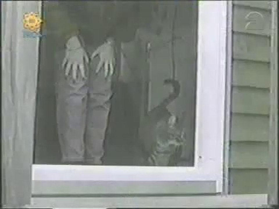 Cats Door