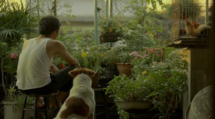 İzleyebileceğiniz En Anlamlı Videolardan Biri..