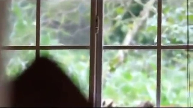 ARTESANOS - Una documental de vida