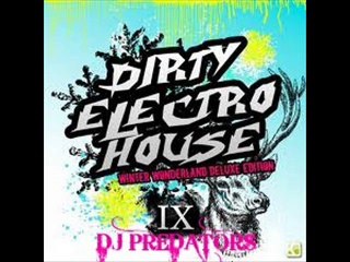 Dirty Electro House IX - DJ PREDATORS