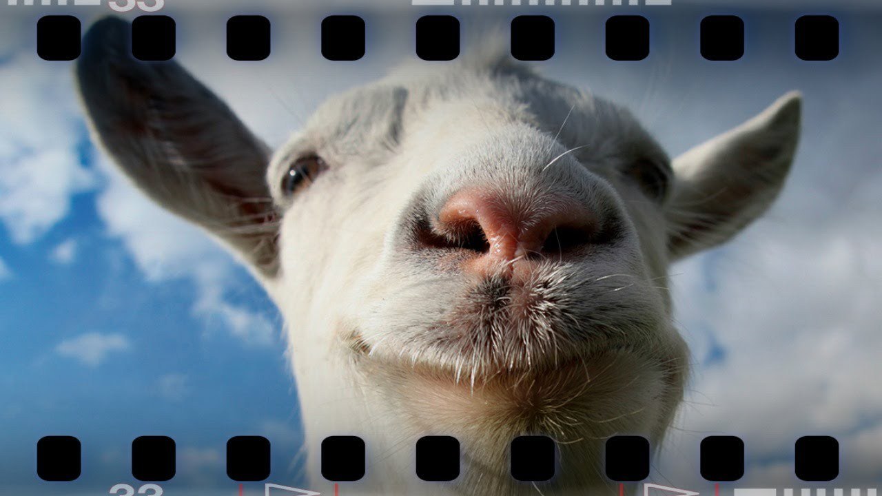 Selfie | Goat Simulator