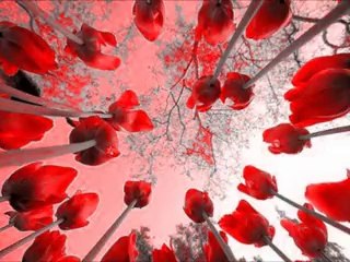 Adem Karaca Kalp Kırma Gönül Yıkma,,http://www.ilahidinle101.com/