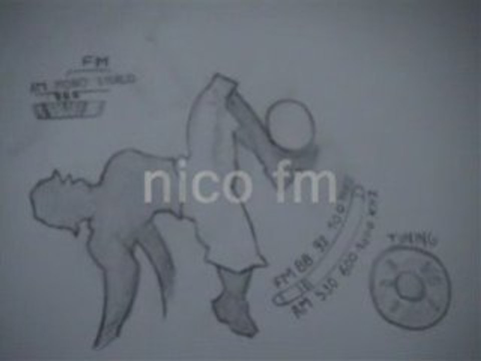 nico project