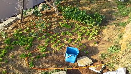 Vali Erol Çakır ÇPL Yağmur Suyu Depolama Projesi