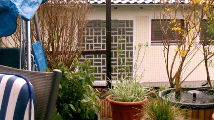 1 Curry & Mocca betreten das erste Mal Katzenterrasse 06042014 (3)