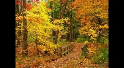 Sen Nisansın Daha Ben sarı Eylül - Melihat Gülses @ Kutlu PAYASLI