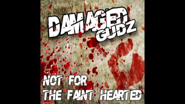 damaged gudz - not for the faint hearted (PSY/NRG)