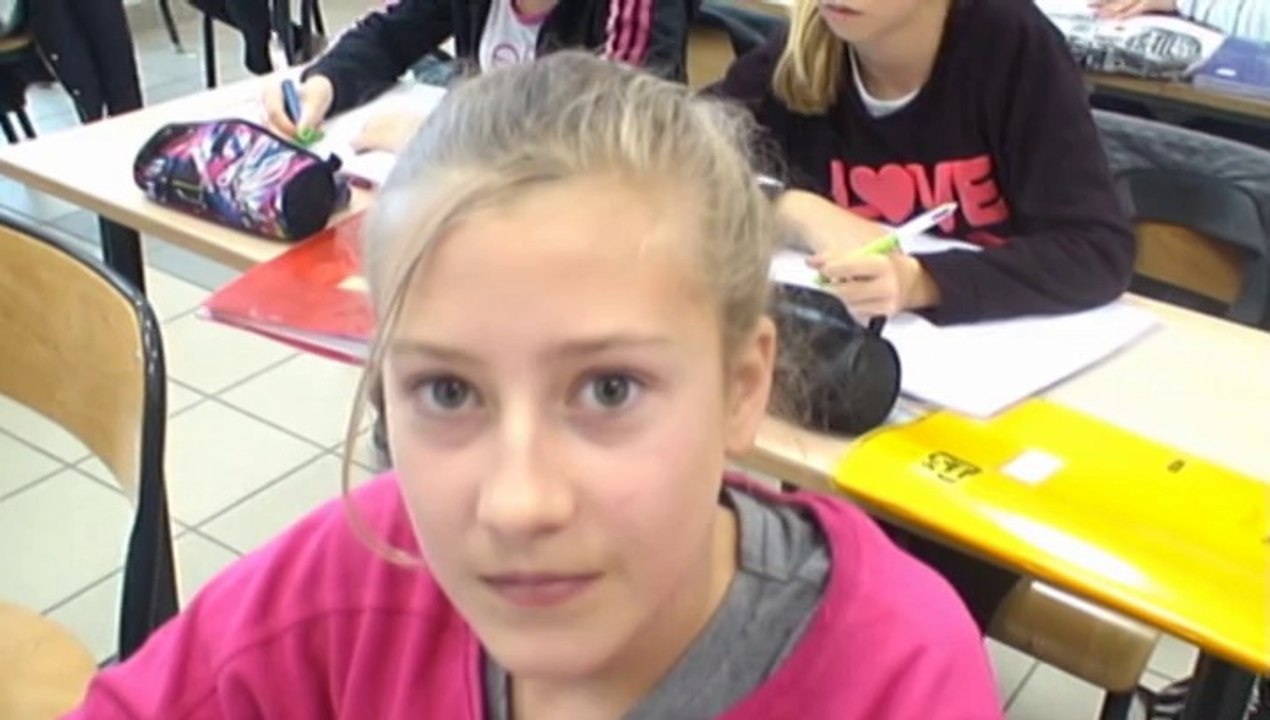 Concours C genial 2014 Collège Anne Frank Projet Construction d'un pont