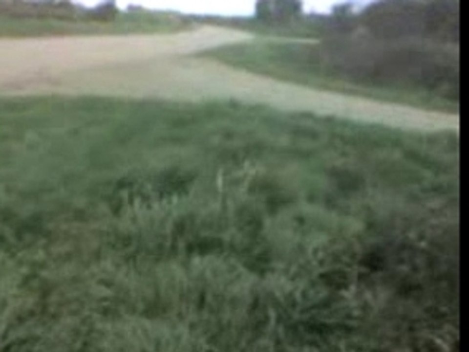 Glissade dans la haie