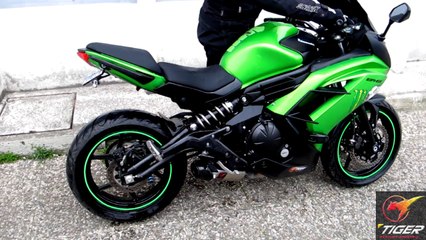 Kawasaki ER6F Tiger Exhaust Systems US 780