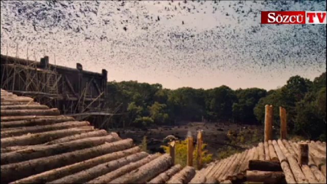 “Nuh: Büyük Tufan” filmi için mahkemeye başvurdu