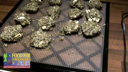 Probiotic pakoras: raw indian cuisine