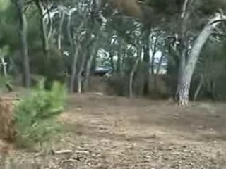 dirt en foret