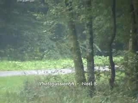 2006 - 11.Rallye Bourbonne-les-Bains